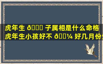 虎年生 🐎 子属相是什么命格（虎年生小孩好不 🐼 好几月份生好）